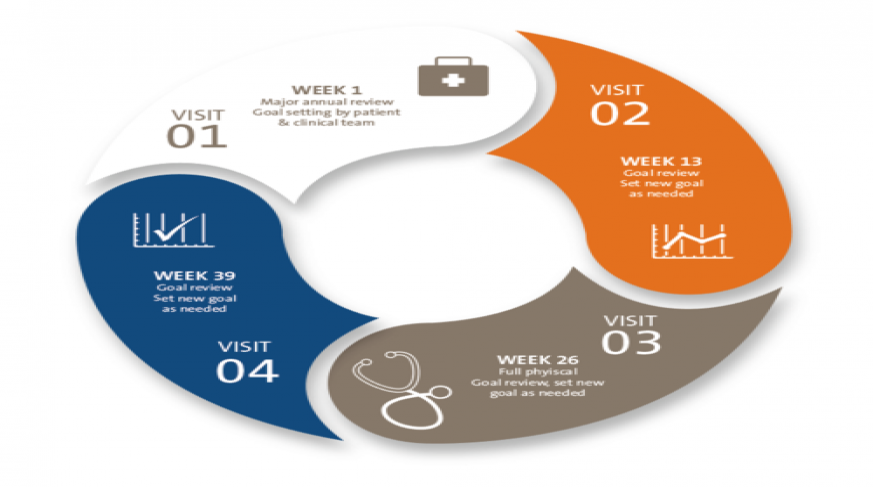 what is ochres health outcomes program all about