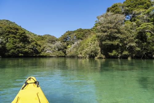 working as a gp in rural new zealand