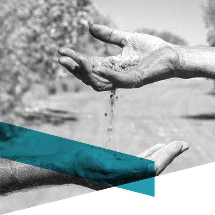 Indigenous Content image