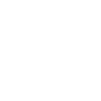 icon hand v2
