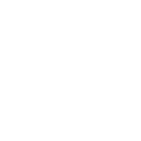 icon member v2