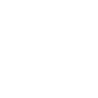 icon nsw v2